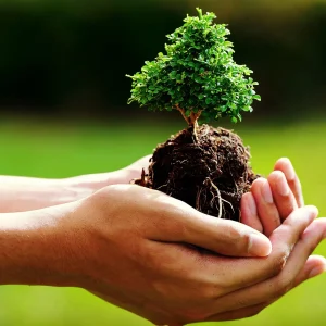 Transition and Thrive in Sustainability